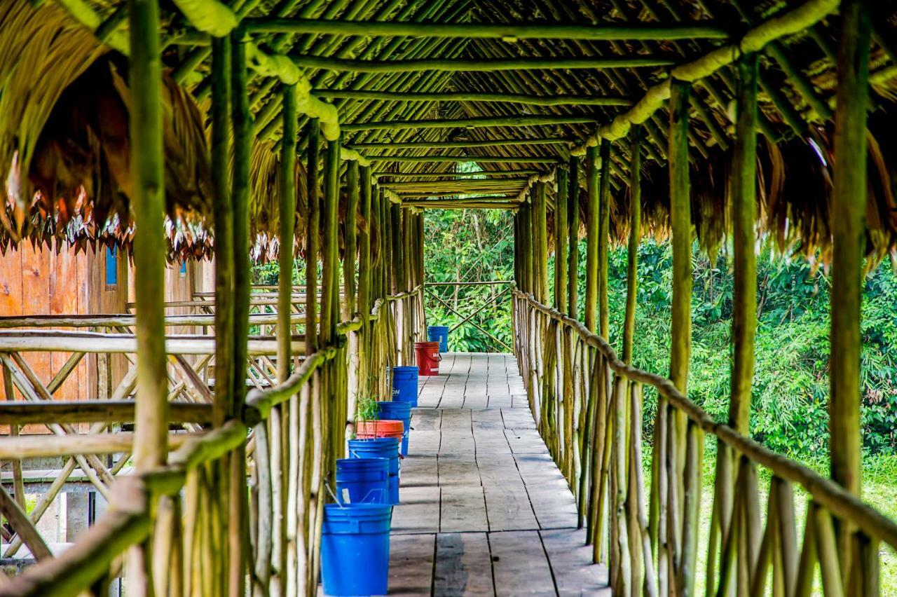 Paraíso Amazon Muyuna Lodge מראה חיצוני תמונה