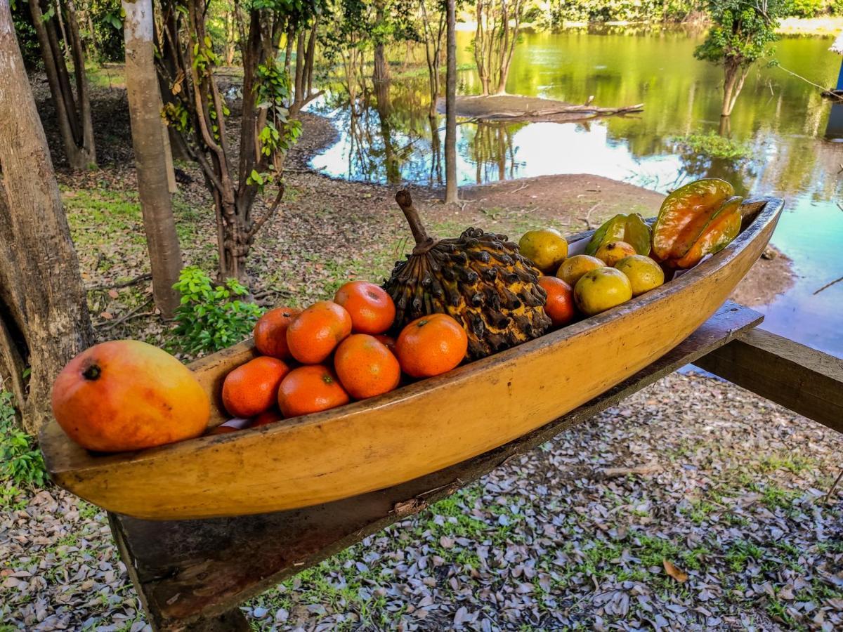 Paraíso Amazon Muyuna Lodge מראה חיצוני תמונה