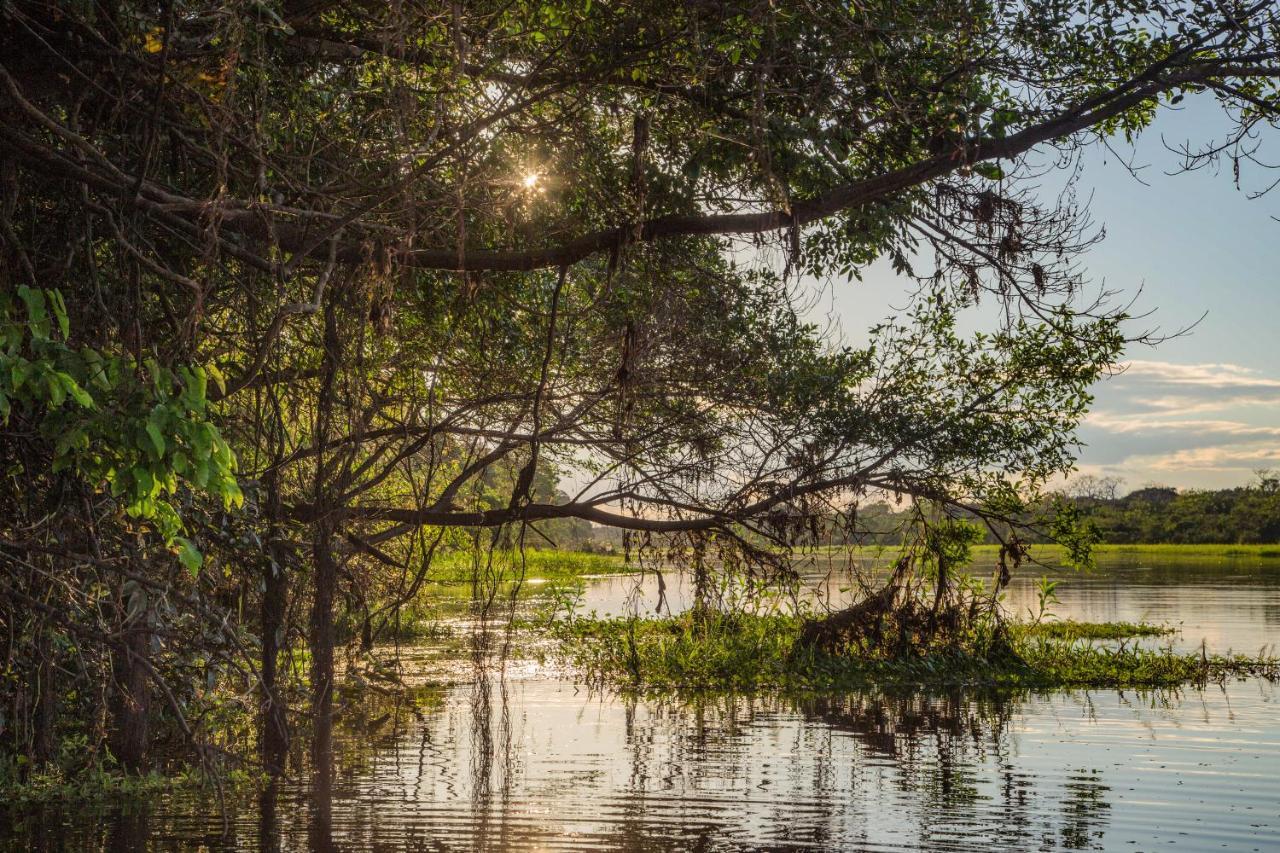 Paraíso Amazon Muyuna Lodge מראה חיצוני תמונה