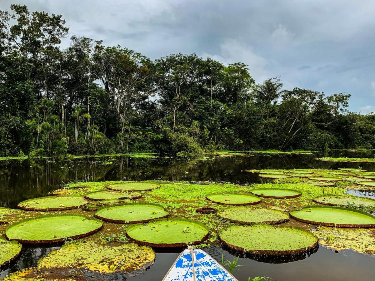Paraíso Amazon Muyuna Lodge מראה חיצוני תמונה